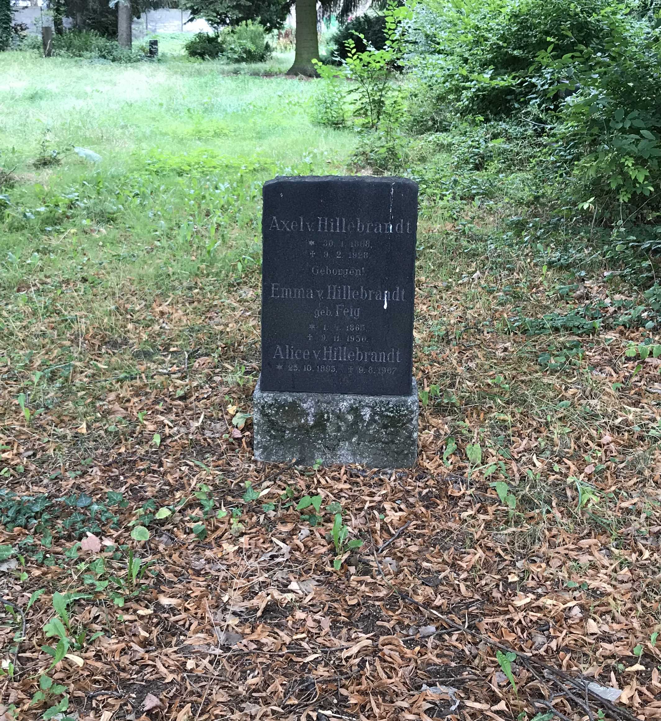 Grabstein Emma von Hillebrandt, geb. Feig, Neuer St. Jacobi-Friedhof, Berlin-Neukölln, Deutschland